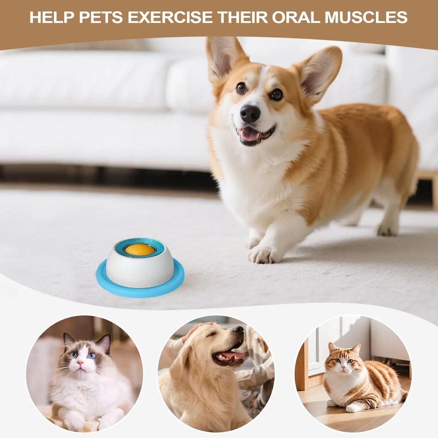 SmartFeed: Interactive Puzzle Feeder for Puppies