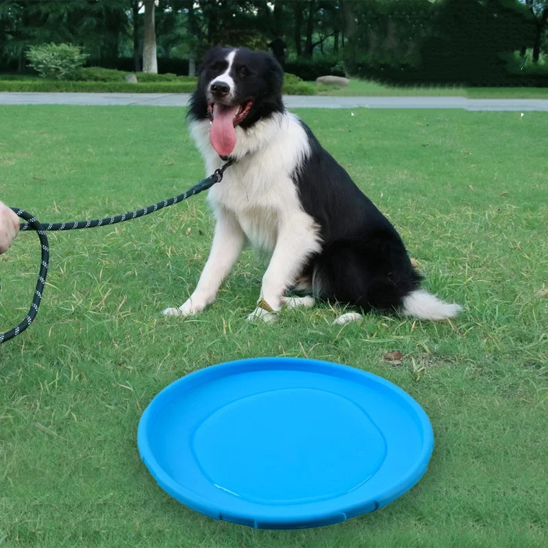 FlyFlex: Durable Silicone Flying Disc for Pets