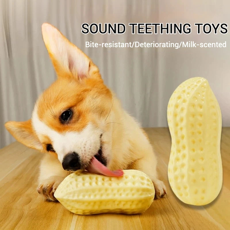 NuttyFun: Interactive Squeaky Peanut Toy